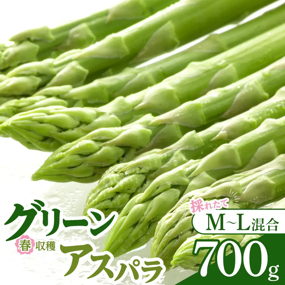 【先行予約】春収穫グリーンアスパラ M-L混合700g(2026年6月上旬から順次発送開始予定)_05687