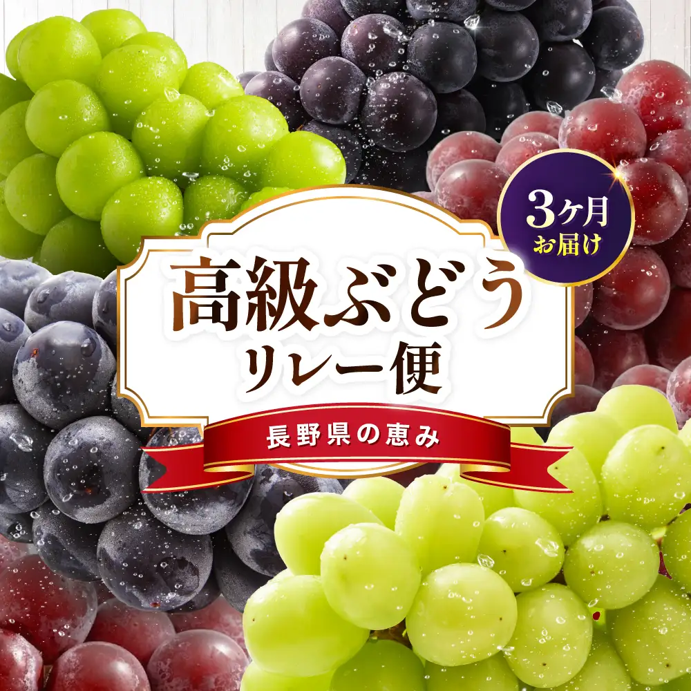 【定期便3回】長野県産 高級 ぶどう リレー便 ( 3ヶ月 )