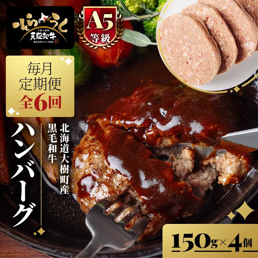【毎月定期便】「天駆和牛(そらうし)」ハンバーグ 150g×4個 A5ランク黒毛和牛使用全6回【配送不可地域：離島】【4085968】