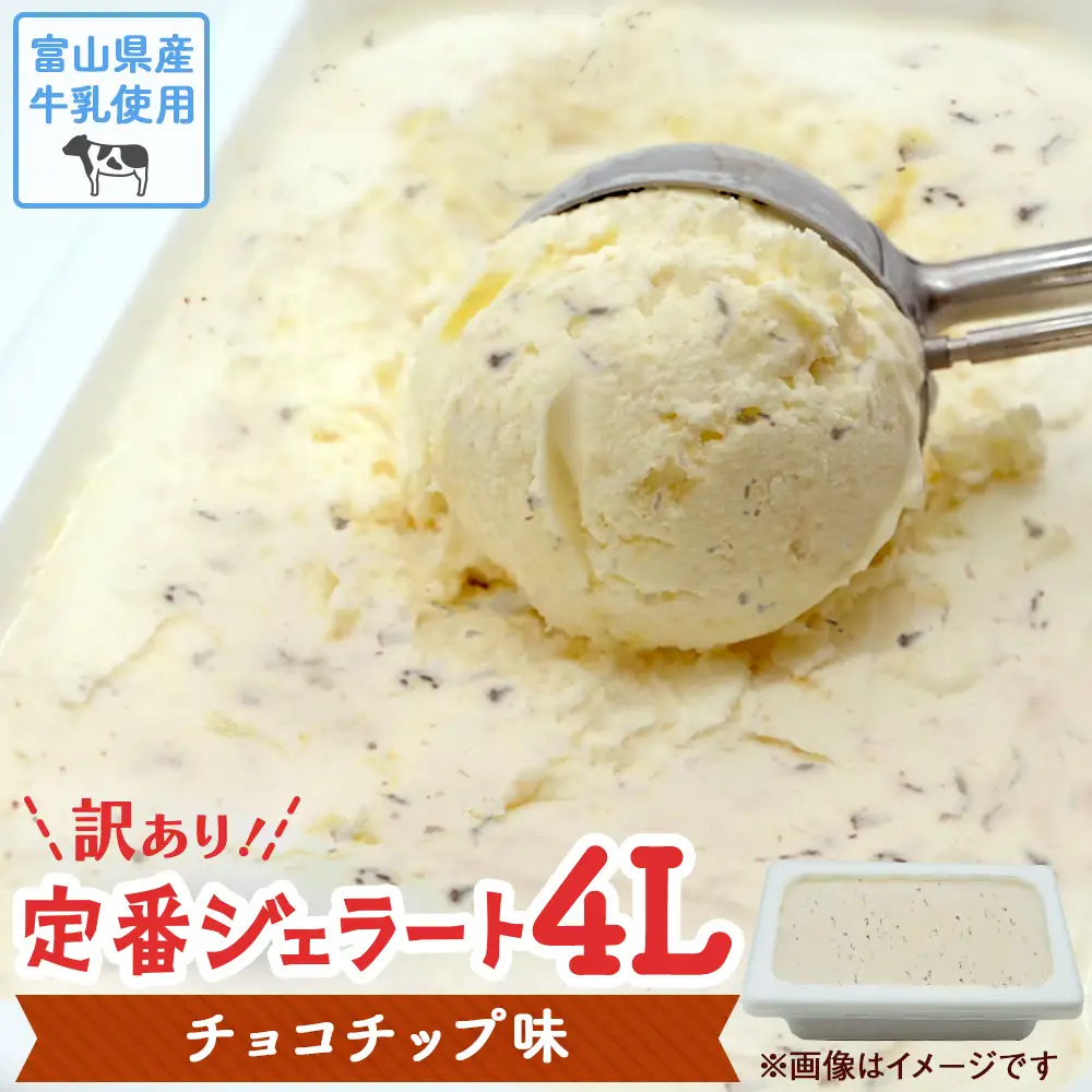 【訳あり】 ジェラート 4L チョコチップ　| チョコチップ アイス ジェラート