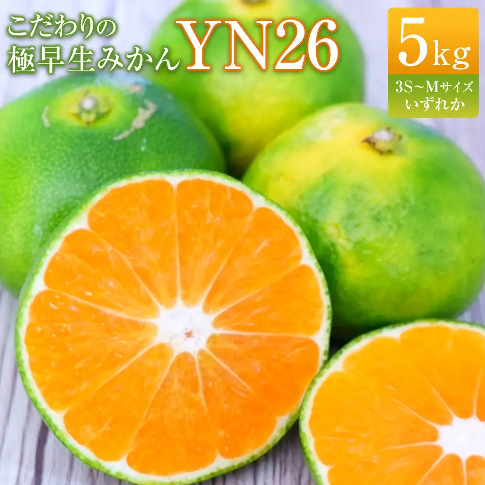 こだわりの極早生みかんYN26 5kg 3S～Mサイズいずれか
