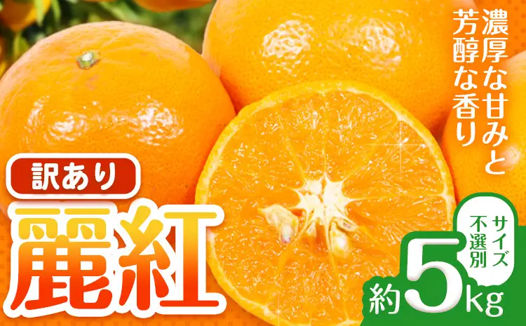 みかん 訳あり 麗紅 5kg 麗紅