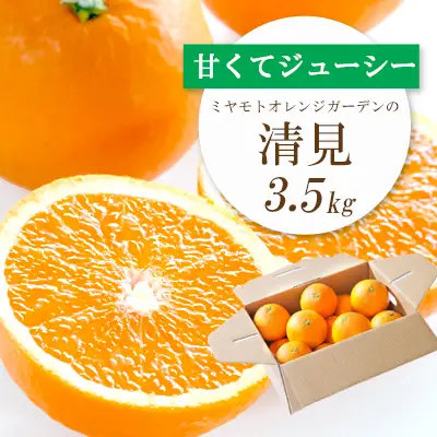 果汁たっぷり ジューシー清見3.5kg【D25-129】【1044409】 YWTAP072