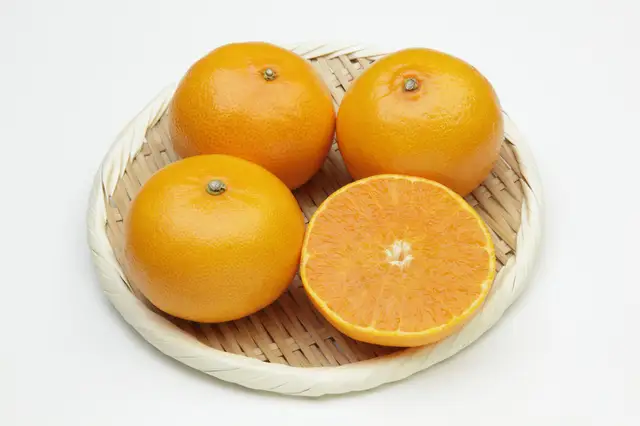 【先行受付】柑橘の鬼たちがつくる八幡浜産・せとか(2.7kg～3.0kg)[贈答用]【D56-21】【1283618】 YWTAS015
