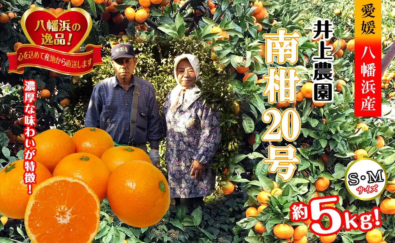 M、Sサイズでお届け・濃厚な味わい! 井上農園「南柑20号」約5kg 【C39-12】【1245424】 YWTF005