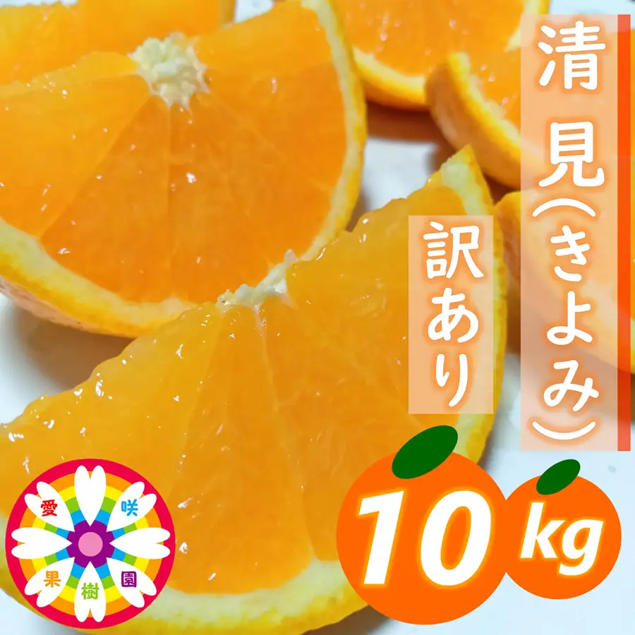 【先行受付】愛咲果樹園 「 清見 」 訳あり 約10kg【C71-15】【1344734】 YWTS013