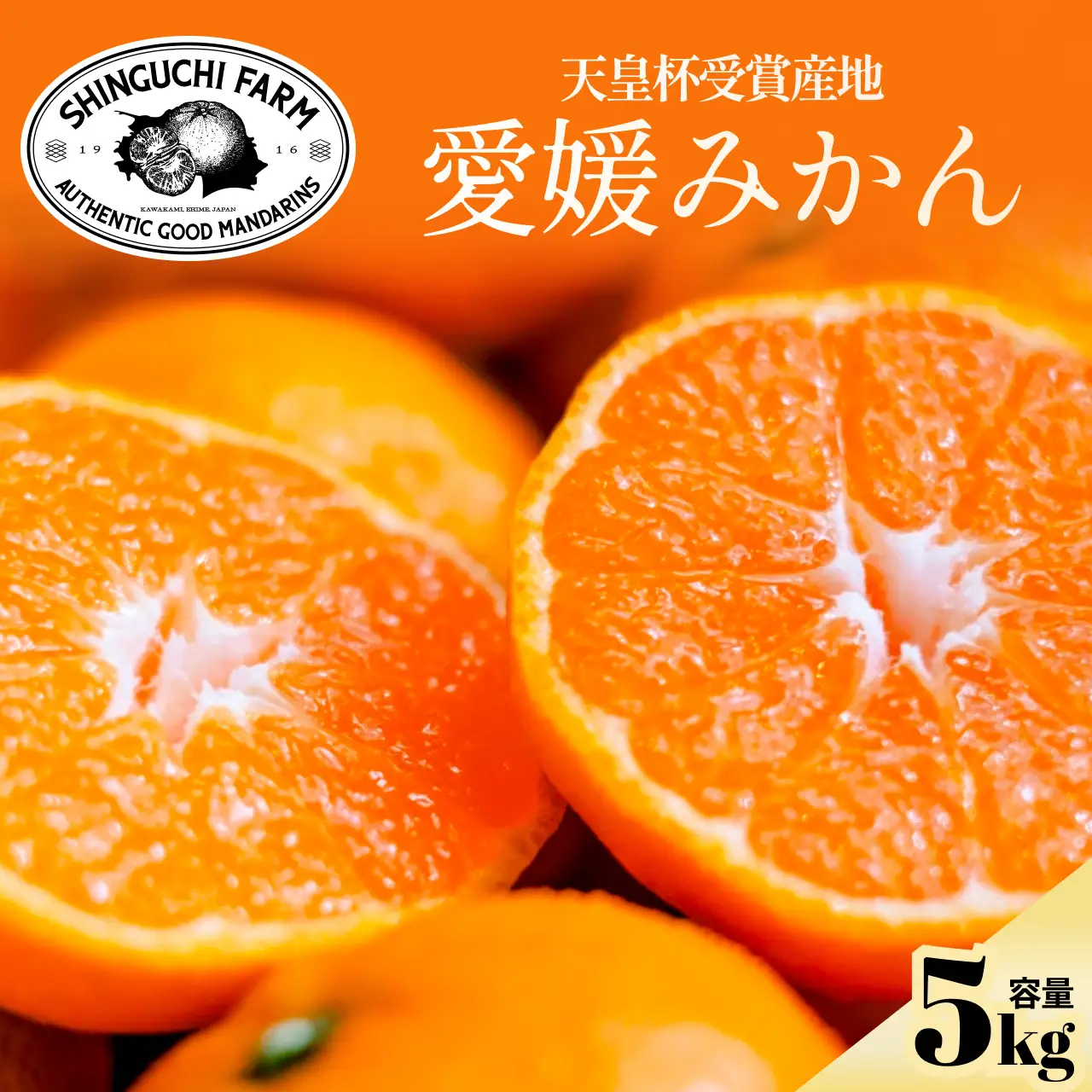 【太陽の恵みがギュッと凝縮】愛媛みかん5kg【小玉】農家直送 愛媛県川上産【C70-4】【1440740】 YWTK004