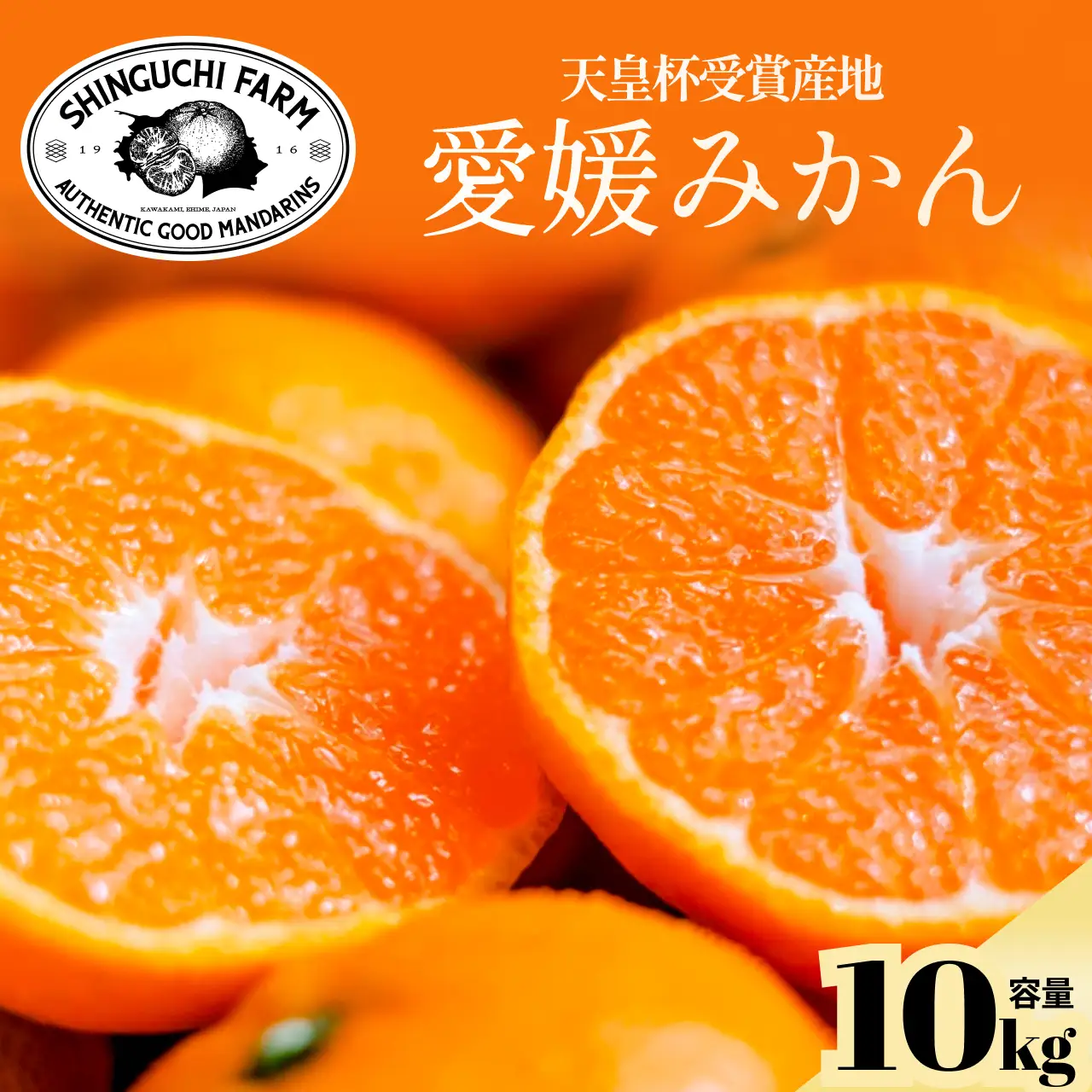 【太陽の恵みがギュッと凝縮】愛媛みかん10kg【小玉】農家直送 愛媛県川上産【F70-5】【1440741】 YWTK005