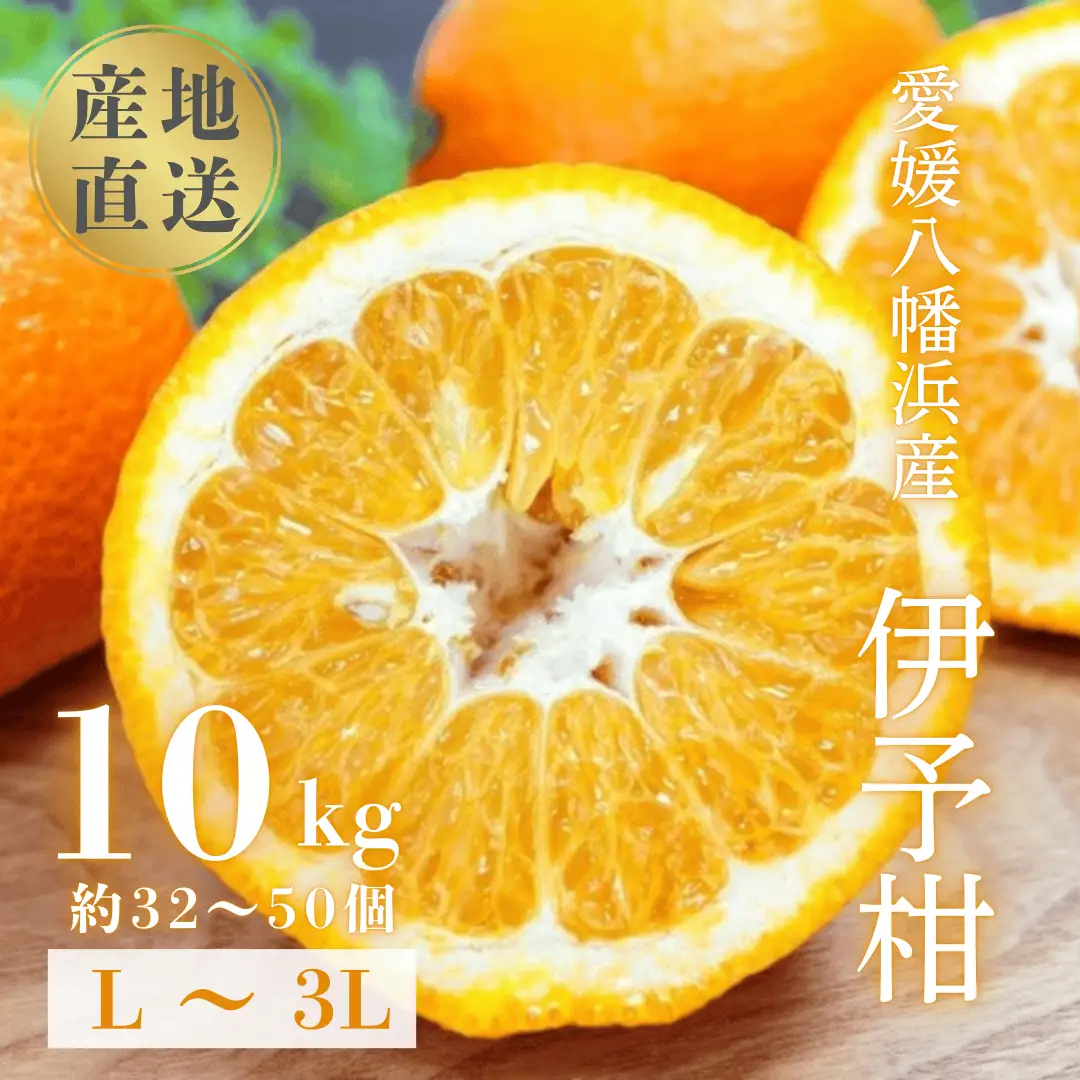 【爽やか香りと柔らかジューシーな果肉】愛媛八幡浜産 宮内伊予柑 10kg【D20-6】【1094591】 YWTI006