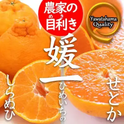 【先行受付】《愛媛・八幡浜柑橘詰合せ》よくばり2箱セット(せとか・しらぬひの2品種)【C28-38】【1504074】 YWTN026