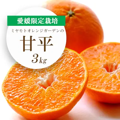 【先行受付】愛媛限定栽培柑橘 甘平(かんぺい)3kg【F25-8】【1268366】 YWTAP004