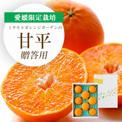 【先行受付】愛媛限定栽培柑橘 甘平(かんぺい) ギフトボックス入り【E25-99】【1360088】 YWTAP050