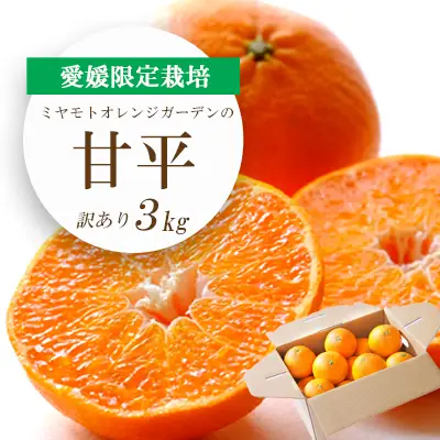 【先行受付】愛媛限定栽培柑橘 甘平(かんぺい)3kg【訳あり】【E25-137】【1138005】 YWTAP080