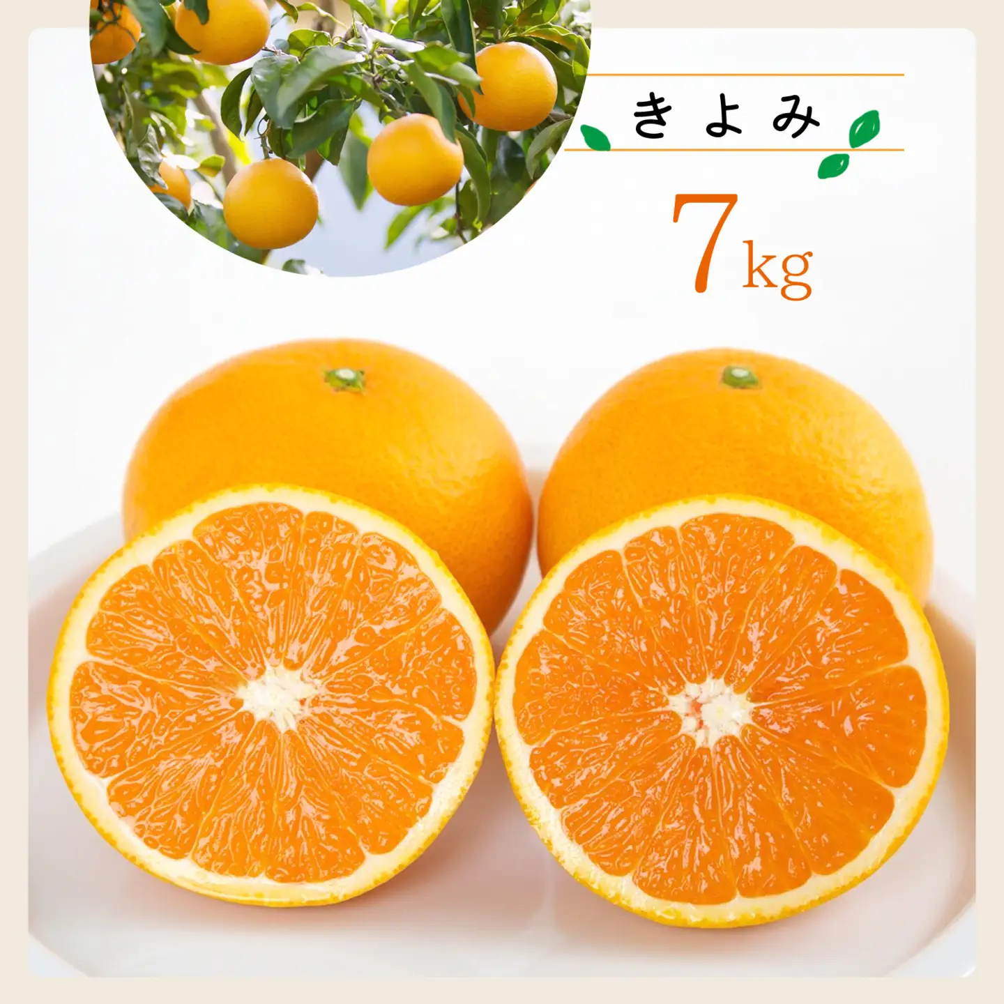 【先行受付】コウ果樹園の「きよみ」大ボリューム7kg【C33-19】【1064379】 YWTG007