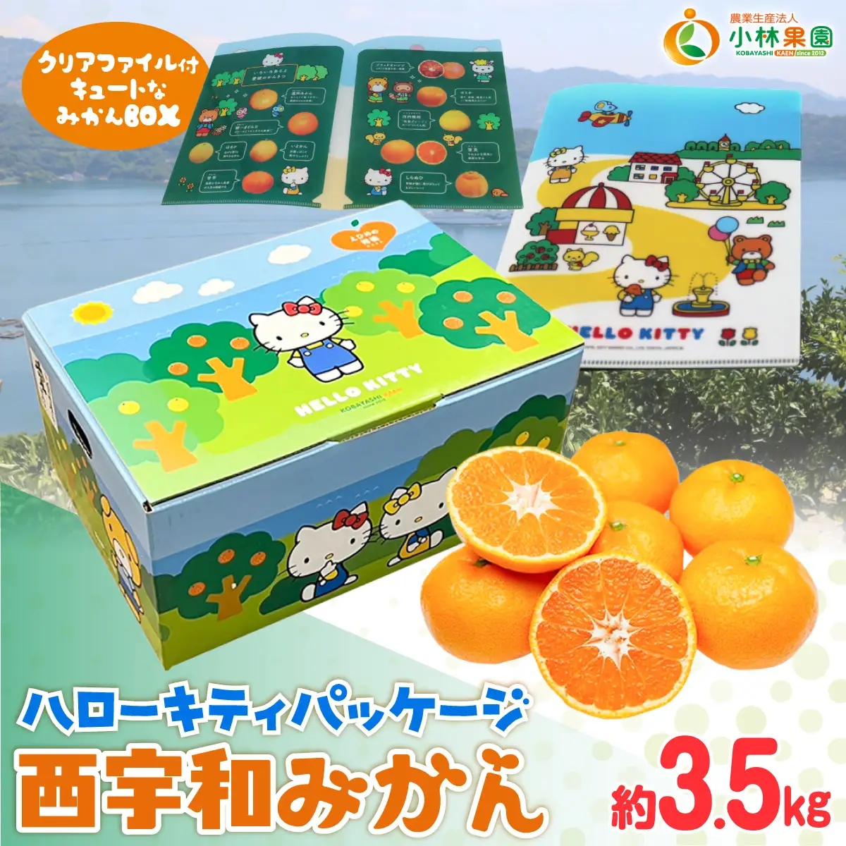【先行受付】厳選　甘ーい小玉!西宇和みかん(ハローキティパッケージ)約3.5kg入【C24-7】【1121015】 YWTAD004