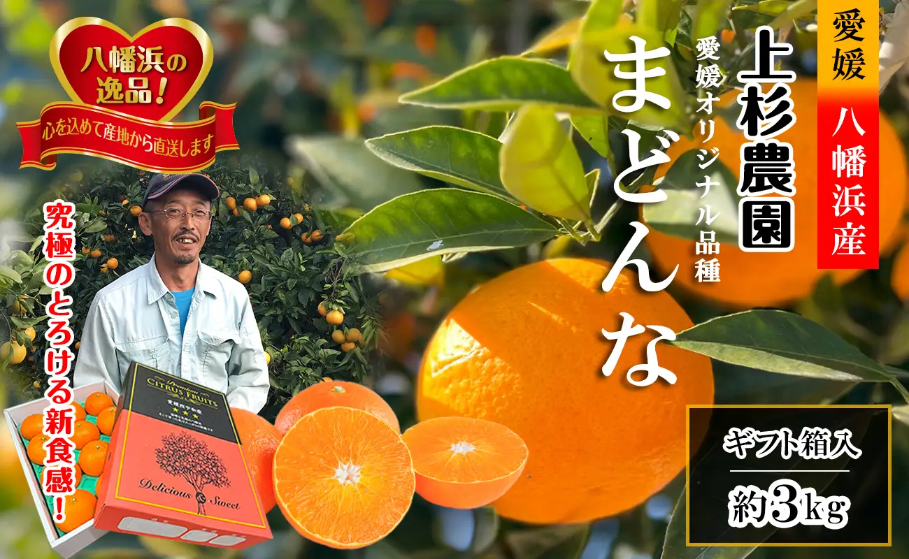 ギフト対応化粧箱入・上杉農園のぷるぷる新食感!「マドンナ」約3kg【D39-16】【1251804】 YWTF008