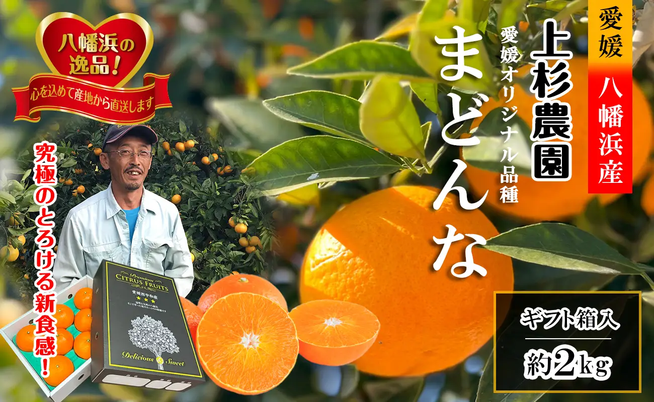 ギフト対応化粧箱入・上杉農園のぷるぷる新食感!「マドンナ」約2kg【C39-50】【1450439】 YWTF025