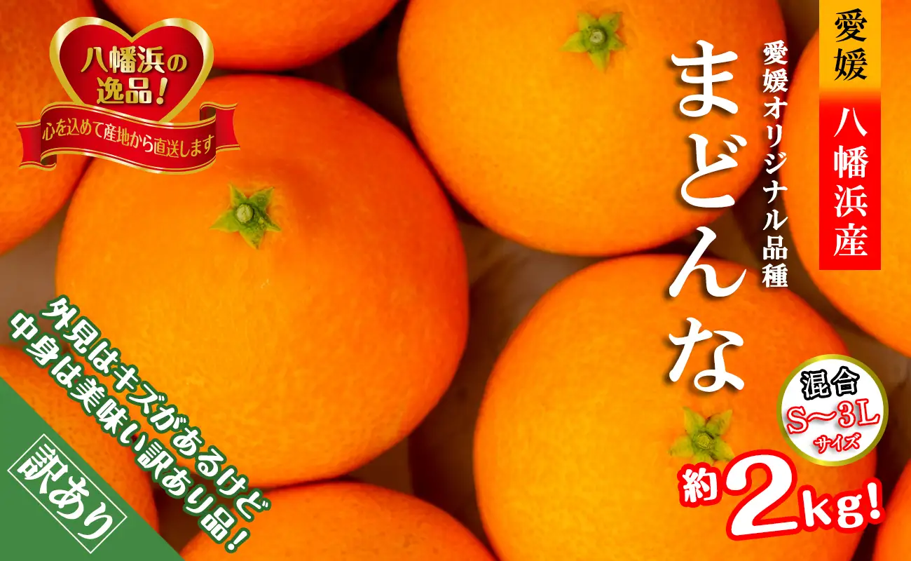 2026年11月より発送開始　ぷるぷる食感!!「まどんな」約2キロ【訳あり・家庭用】【C39-58】【配送不可地域：離島】【1512437】 YWTF033