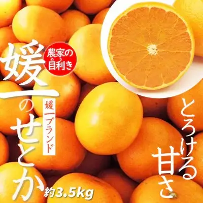 【先行受付】愛媛の高級柑橘の代名詞!「せとか」約3.5kg入【D28-18】【配送不可地域：離島】【1046129】 YWTN011
