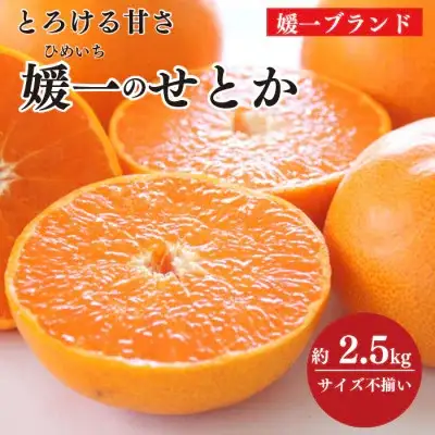 【先行受付】愛媛の柑橘の代名詞!「せとか」約2.5kg入【C28-40】【1437356】 YWTN027