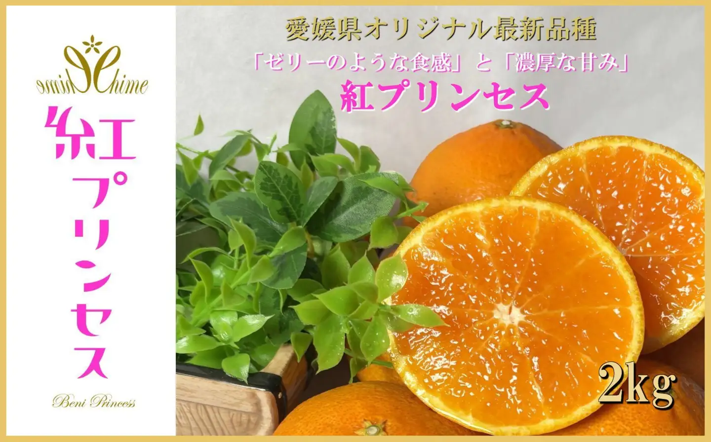 柑橘界のサラブレット!!「まどんな」と「甘平」を親に持つ!!　「紅プリンセス」2キロ【D39-76】【配送不可地域：離島】【1621674】 YWTF051