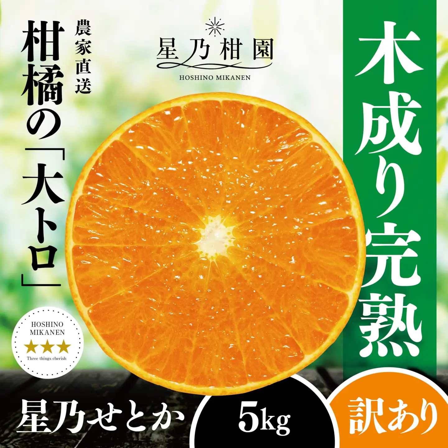 【先行受付】【訳あり】星乃せとか 柑橘の大トロ(5kg)【C45-97】【1650682】 YWTAZ059