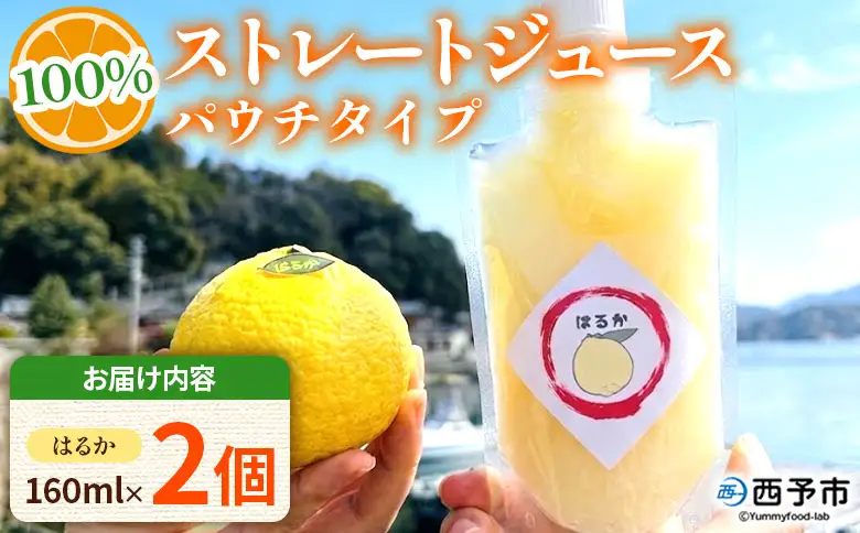 ＜はるか100％ストレートジュース パウチタイプ 160ml×2個＞『1か月以内に順次発送予定』果物 くだもの フルーツ 柑橘類 みかん 蜜柑 ミカン みかんジュース 飲料 渡江から一歩を踏み出す会 愛媛県 西予市【常温】ATI0046