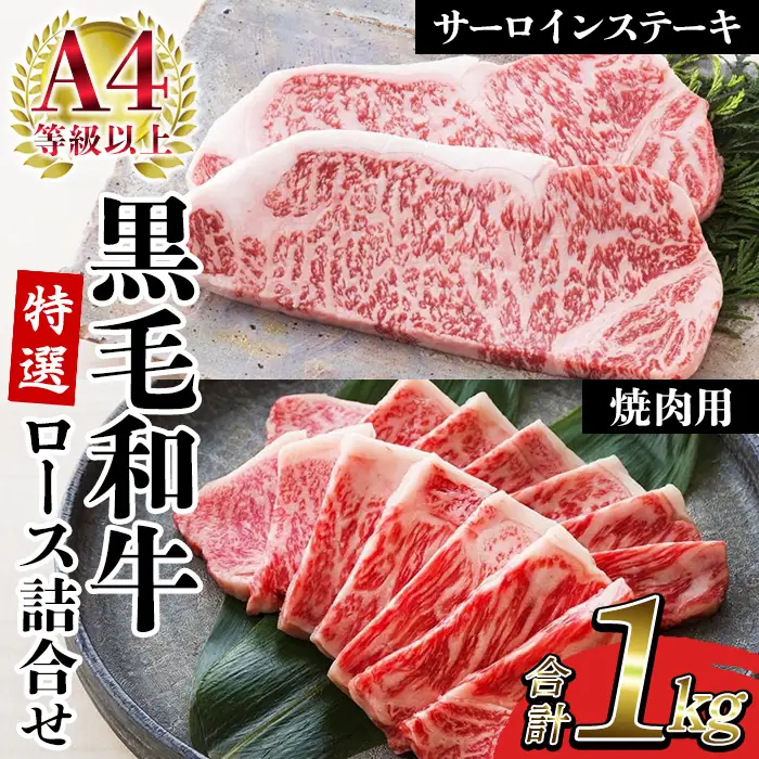 サーロイン ステーキ 250g×2枚 ロース 500g セット 鹿児島県産 黒毛和牛 牛肉【00-030-36】