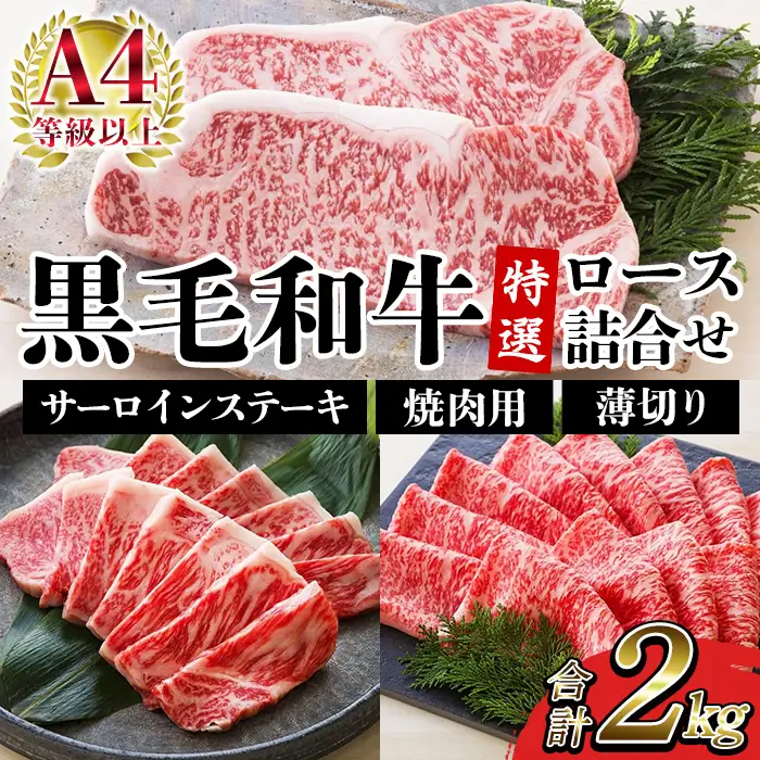サーロイン ステーキ 250g×4枚 ロース 1kg 詰合せ 鹿児島県産 黒毛和牛 牛肉 【00-030-37】　