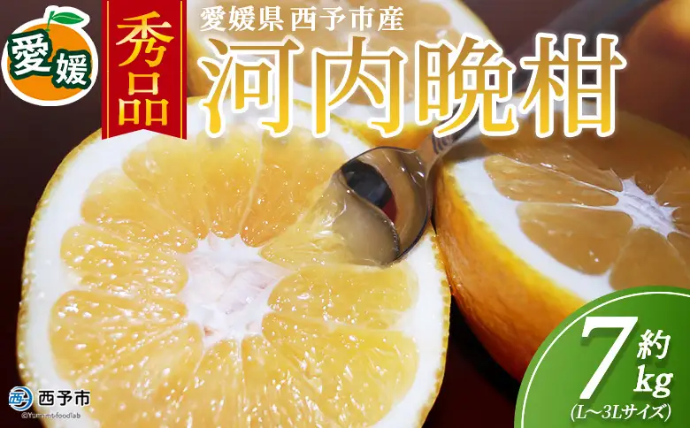 ＜秀品 河内晩柑 (L～3Lサイズ) 約7kg＞『2026年4月中旬から順次出荷予定』かわちばんかん 美生柑 宇和ゴールド オレンジ 和製グレープフルーツ 蜜柑 ミカン みかん 果物 フルーツ 柑橘 国産 愛媛県産 西予市産 西宇和 特産品 丸二青果 愛媛県西予市【常温】MMY0026