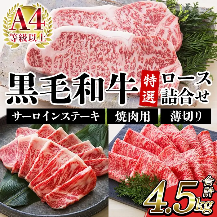 牛肉 サーロイン ステーキ 250g×6枚 ロース 3kg 詰合せ 鹿児島県産 黒毛和牛 牛肉【00-030-38】　