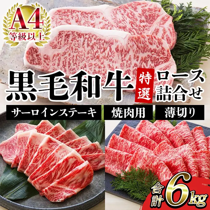 牛肉 6kg 詰合せ 鹿児島県産 黒毛和牛 牛肉【00-030-39】