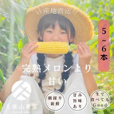 【完熟メロンのように甘い】朝採り!とうもろこし 5～6本(約1.5キロ～2キロ)【とうもろこしトウモロコシ 甘い コーン 野菜 やさい 福岡県 筑前町】