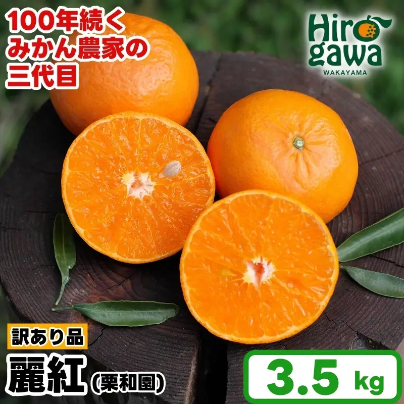 麗紅 れいこう 訳あり 3.5kg / オレンジ 甘い 家庭用 和歌山 有田 柑橘 ※2027年2月中旬〜3月下旬に順次発送 【krw012-c-3d5】