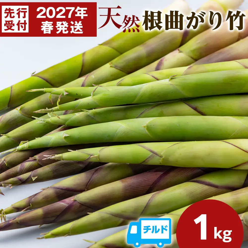 2027年発送予約】天然 根曲がり竹 1kg 根曲竹 ネマガリタケ 姫竹 笹竹