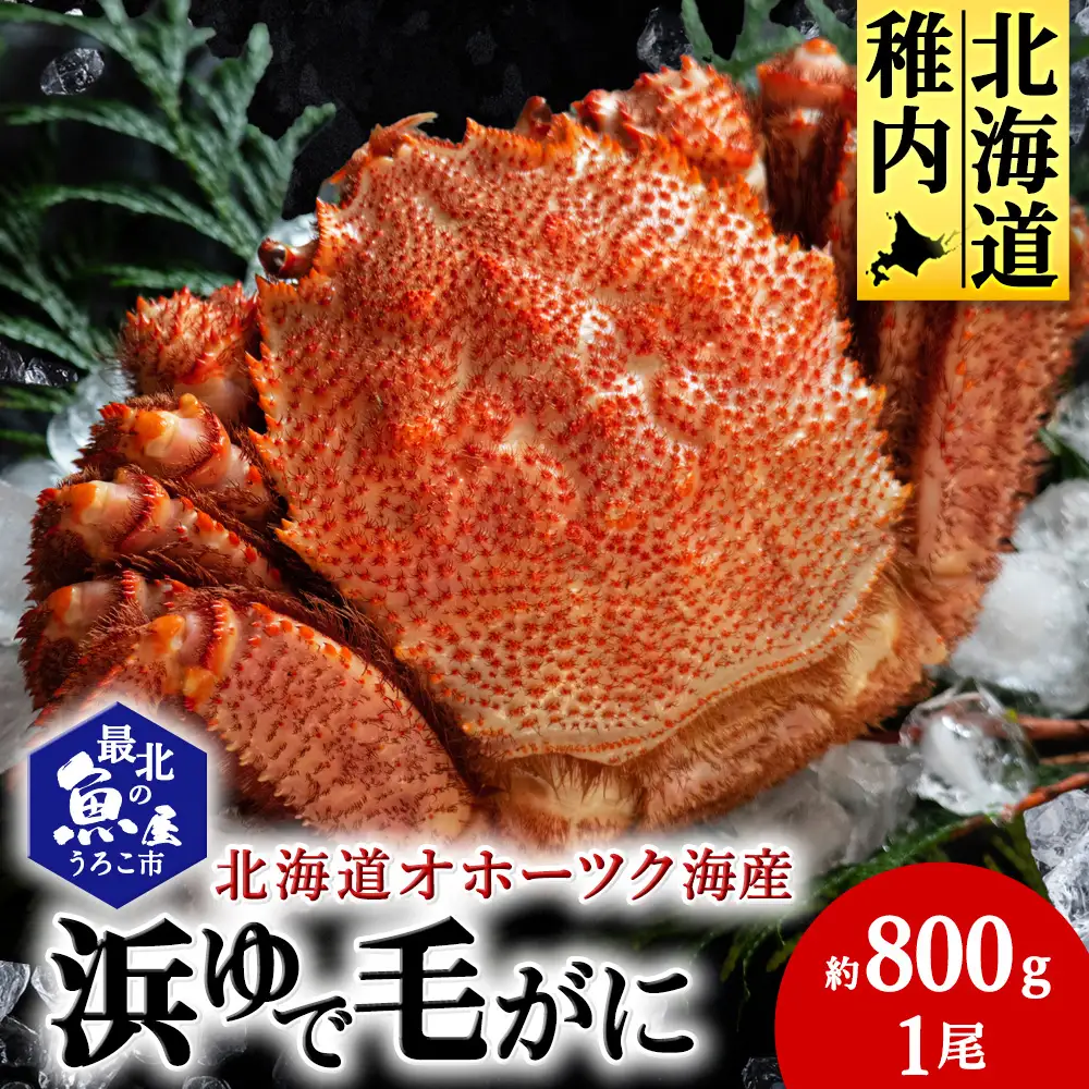 北海道オホーツク海産 浜ゆで毛がに 約800g×1尾