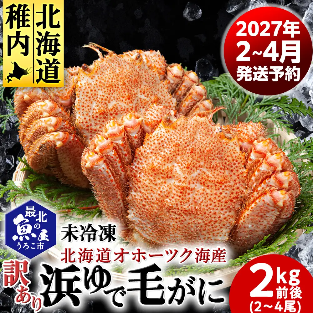 未冷凍 浜ゆで毛ガニ 訳あり品(キズ・足欠等) 2kg前後（2-4尾入）