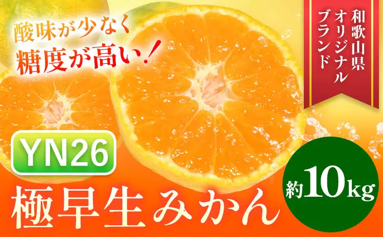 みかん 極早生みかん YN26 約10kg