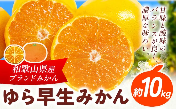 みかん ゆら早生みかん 約10kg