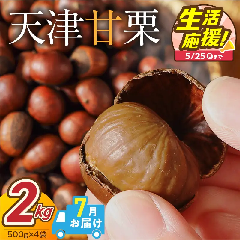【2026年7月発送】【特別容量 1.6kg⇒2kg】 （ 生活応援 ） この道50年の職人が焼く､やさしい甘みたっっっぷり！｢天津甘栗｣ 2kg 焼きたて 栗 くり 栗爪 殻付き お菓子 おつまみ 人気 高リピート 小分け 栗ご飯 栗きんとん 甘露煮 選べる 発送月 碧南市 H045-107_Jul