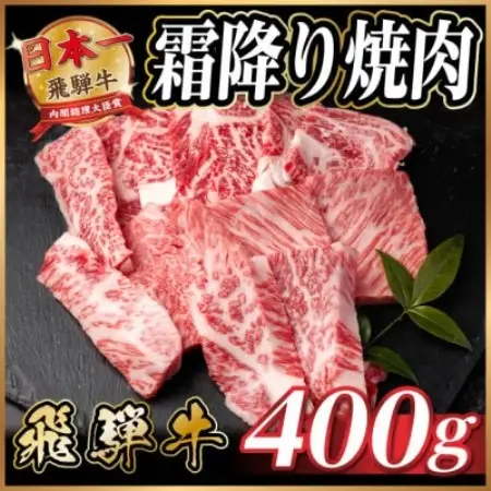 飛騨牛 霜降り焼肉 約400g BBQ用(上カルビ、肩ロース、カイノミ、ザブトン、ミスジなど)訳あり【配送不可地域：離島】【1733114】
