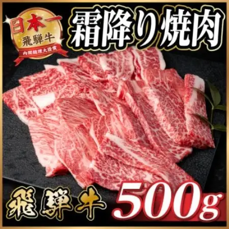 飛騨牛 霜降り焼肉 約500g BBQ用(上カルビ、肩ロース、カイノミ、ザブトン、ミスジなど)訳あり【配送不可地域：離島】【1733135】