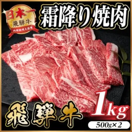 飛騨牛 霜降り焼肉 約1kg(約500g×2)BBQ用(上カルビ、肩ロース、カイノミなど)訳あり【配送不可地域：離島】【1733140】