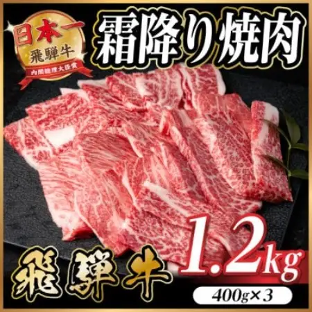 飛騨牛 霜降り焼肉 約1.2kg(約400g×3)BBQ用(上カルビ、肩ロース、カイノミなど)訳あり【配送不可地域：離島】【1733143】
