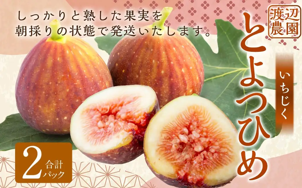 【先行予約】渡辺農園 いちじく (とよみつひめ) 2パック 【2026年8月上旬～2026年9月中旬 出荷予定】 フルーツ 果物 果実 常温 送料無料 福岡県 うきは市