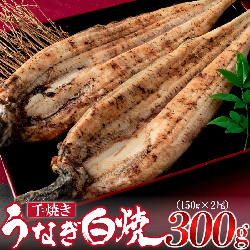 九州産手焼きうなぎ白焼き 2尾（約300g） [M635-1]