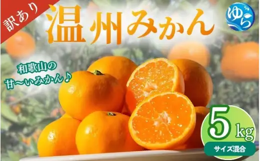 ＼訳あり／ 温州みかん 5kg / みかん ミカン 和歌山県 柑橘 早生 甘い 蜜柑 フルーツ 果物 くだもの 食品  産地直送 由良町 ご家庭用 温州 訳ありみかん ※2026年10月上旬～10月下旬頃に順次発送予定 【myvi004-c-5】