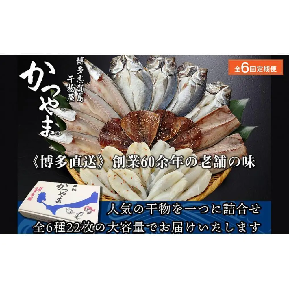 【全6回定期便】昔ながらの製法で作った干物詰合せ 全6種22枚×6回 | 魚 お魚 さかな 食品 人気 おすすめ 送料無料