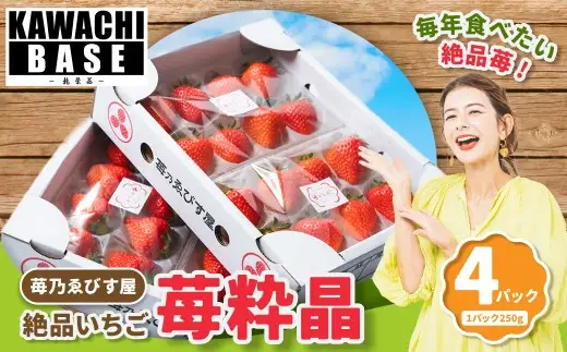 絶品いちご 「 苺粋晶 」 （ 恋みのり ） 4パック（ 250g × 4パック ） 苺 イチゴ いちご 果物 くだもの フルーツ ゆりかーご デザート ギフト プレゼント 贈答 国産 熊本県産 【2027年2月上旬発送開始】
