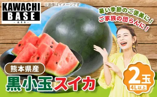 熊本県産 黒小玉スイカ 2玉 4L以上 スイカ 西瓜 食べきりサイズ 黒小玉 国産 果物 くだもの フルーツ 【2026年6月上旬発送開始】